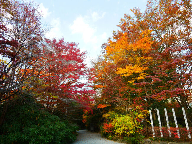 湿生花園を出ます。