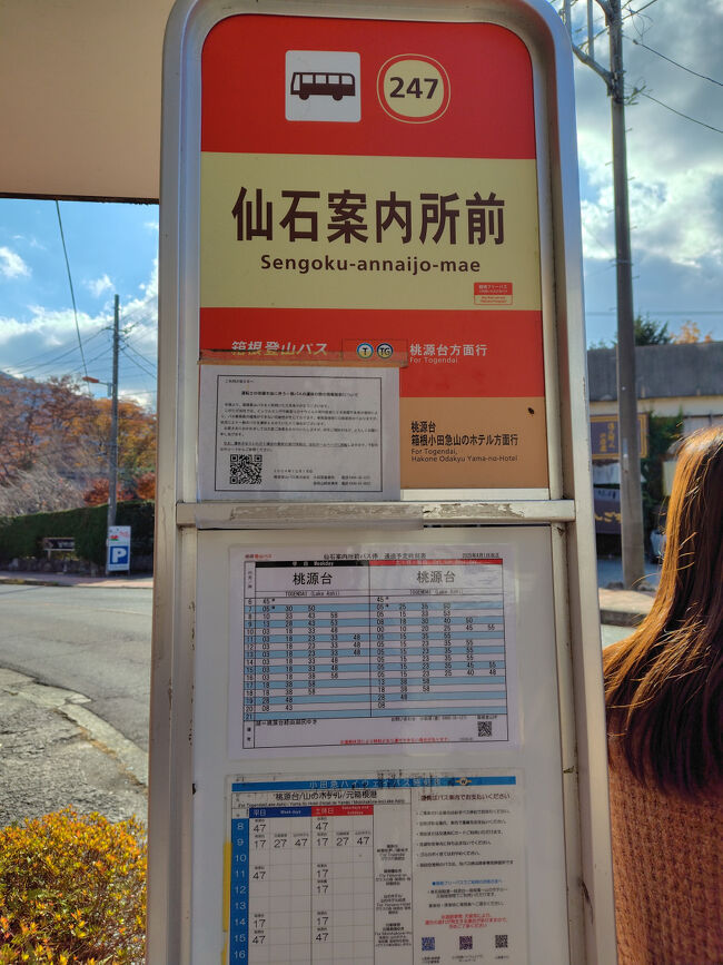 湿生花園から20分くらいでしたでしょうか、バス停まで歩いて戻ってきました。<br />ここからバスで桃源台へ向かいます。<br /><br />ネットでナビしてもらってるので、次の目的地までの交通手段やバス停までの道のり、何時にバスが来るのかもわかって便利です。<br />これがなければこんな風にその時々の思いつきで動けないですよね。<br />