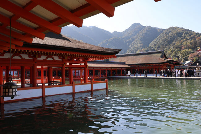 境内を見渡すと、本当に水面に浮かんでいるよう。<br />リアルの景色とは思えない…