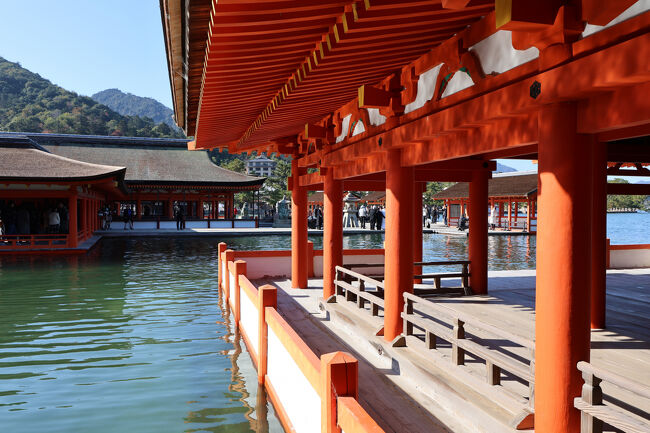 水面で反射した光が軒下に揺らいで、とっても綺麗。