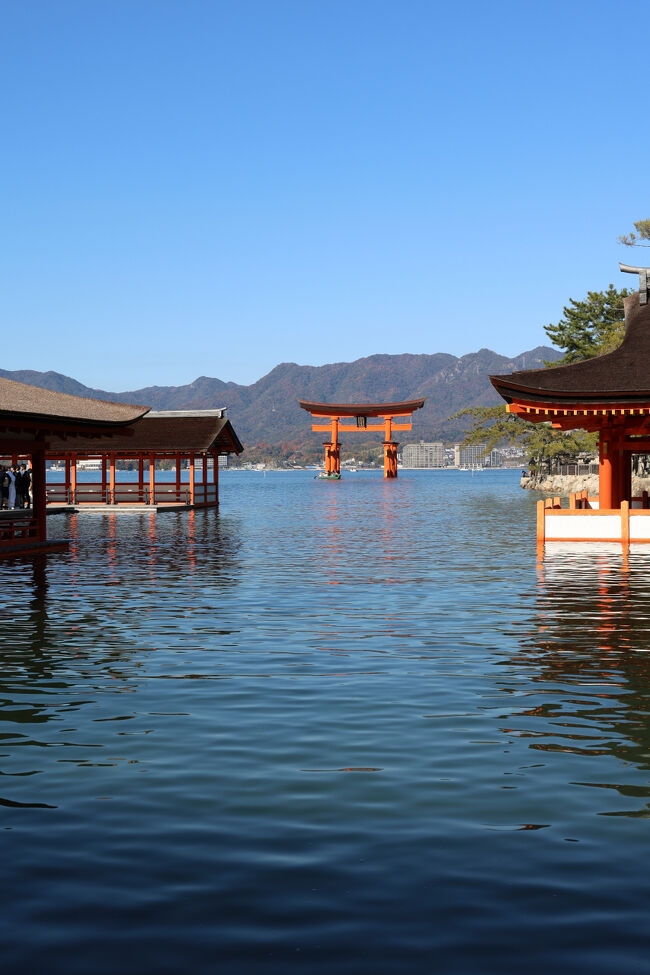 社殿の一番奥から大鳥居を望むアングル。<br />昨日も同じ構図を撮ったけど、今日は足元まで青い海が広がって…全然違う景色になるの、凄いなぁ。