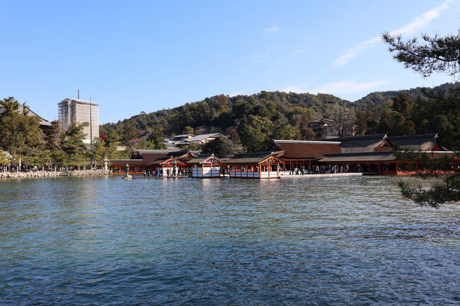 15分ほどだったでしょうか、じっくり境内を見せてもらいました。