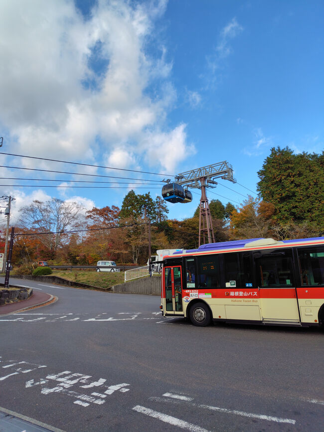 そろそろ14時。<br />1時間並んで大涌谷行って観光して、その後またロープウェイに長時間並んだらそれだけで今日の残り半日が終わってしまいそう。<br />大涌谷や黒たまごと紅葉狩りを心の中で天秤にかけて、紅葉狩りを優先することにしました。<br /><br />ロープウェイはやめて、さっき乗ってきたバスの逆方面行きに乗ります。