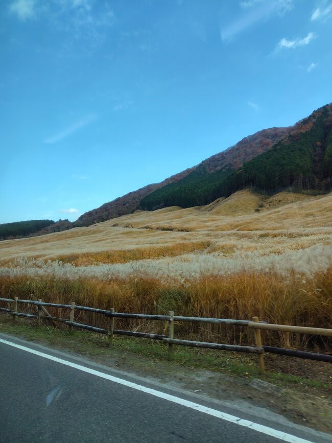 バスの中からさっきのすすき草原が通り過ぎるのを眺めます。