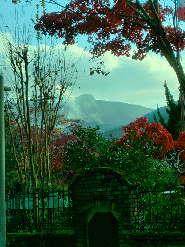 湯気がモクモク沸き立っている山が見えました。<br />あの辺りが大涌谷なのかな？<br />行けなくて残念。