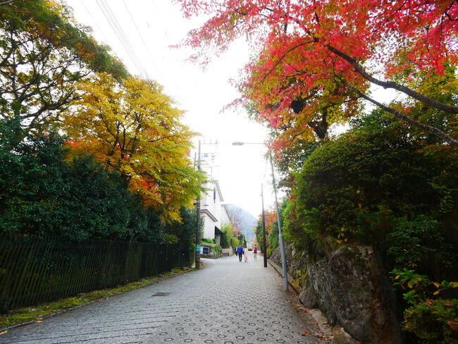 ここから歩いて、というか、ひたすら上り坂を登って次の目的地へ向かいます。