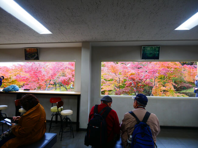 こちらもフリーパスで入園料が200円ほど安くなったと思います。<br />