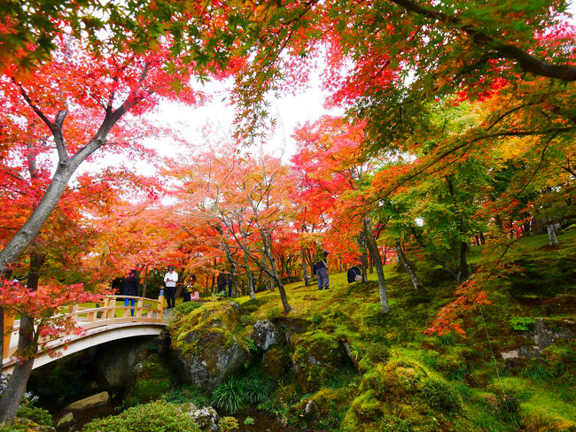 わ～、すごい！<br />中に入ってすぐ、この景色です。