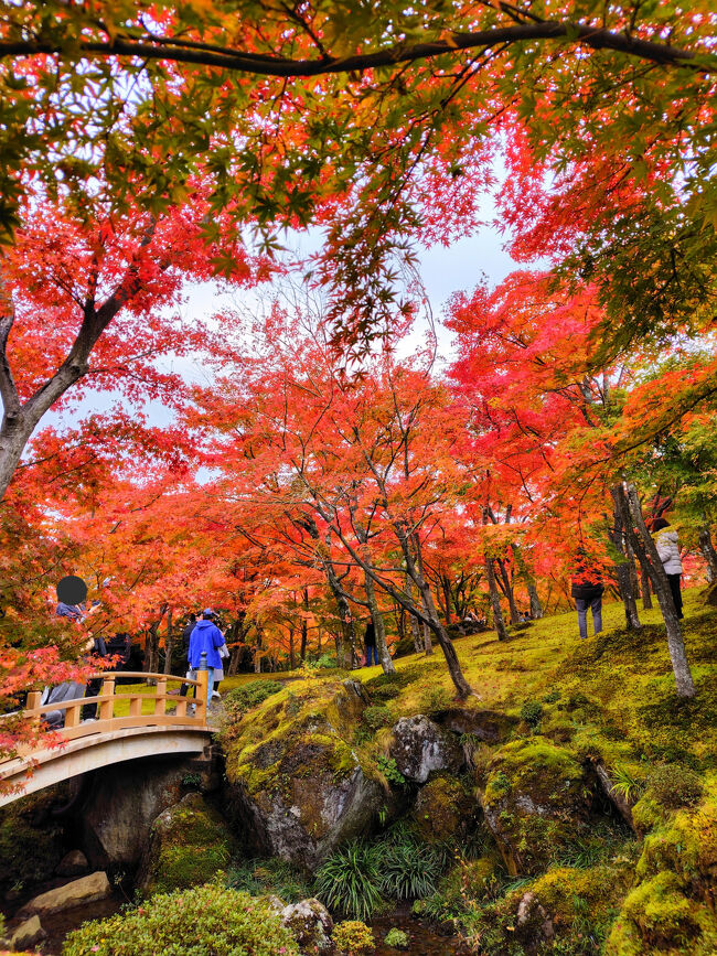 同じ場所で縦撮りで。<br />色を濃く写す設定にしていると思います。