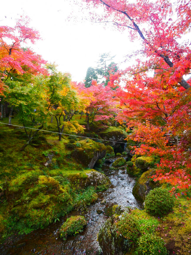 小川も流れています。