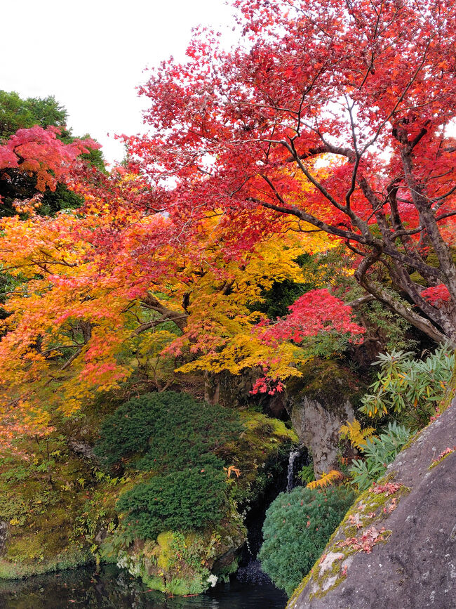 岩の奥に小さな滝と紅葉。