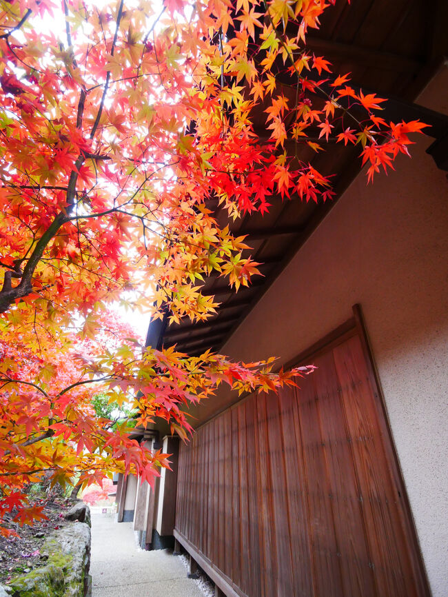 家（おそらく富士見亭）と紅葉。