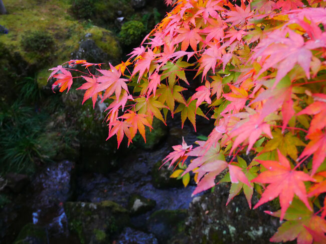 薄暗くなってきました。
