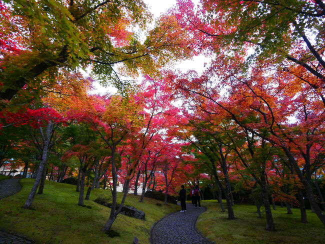 閉館間際で人が少なく写真撮り放題。<br />時間と曇ったのとで暗い写真になってしまいました。