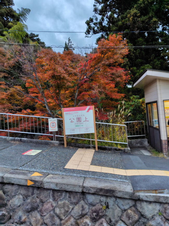 さて、そろそろ帰ろうかな。<br />来た時と同じように強羅まで歩いても10-15分くらいなんですが、せっかくフリーパスを持っているので登山ケーブルカーにも乗っておこうかな、と公園上から強羅までケーブルカーに乗ります。