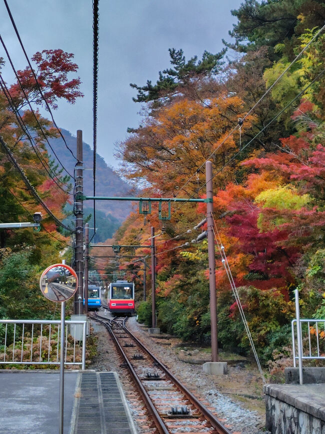 ケーブルカーがもうすぐ来ます。<br />青いのが登っていく車両、赤いのがこちらに下ってくる車両だった(逆かも…？)と思います。