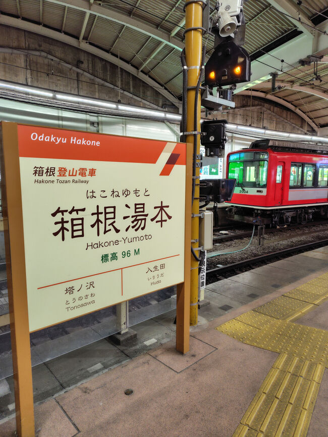 強羅で登山電車に乗り換えて箱根湯本に来ました。<br />噂のスイッチバックを何度かしていたと思うんですが、窓の外が真っ暗であんまり感想もなくって感じです。<br /><br />時間は17：40。<br />箱根湯本ってテレビ番組なんかでよく食べ歩きしてるところ？<br />散策してみたい気もするし、日帰りの温泉も気にはなったけど、どの辺りをふらついたらいいのかもわからないし、お風呂は2000円前後していそうだったりでどちらも辞めました。