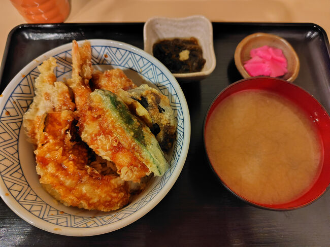 19時ごろ注文して、出てきたのがなんと19:45近く。<br />一組のオーダーに10分近くかかっているようでなかなか出て来ませんでした。<br /><br />この後、帰りもフリーパスで小田急線の予定でしたが、事故？で運転見合わせだったのでJRの振替輸送で新宿まで帰りました。<br /><br />1日たっぷり楽しんだ初めての箱根。<br />日帰りはキツイかな？と最初思ってましたが、日帰りバスツアーに行くのとそんなに変わらないかな、という感じです。<br /><br />そしてお得切符の箱根フリーパス。<br />計算したところ、なんと今回、1000円ちょっと損をするという非常にショックな結果となってしまいました…<br />大涌谷へのロープウェイに乗らなかったことが敗因です(考えようによっては、5000～6000円の交通費で日帰り箱根に行けるということ)。<br />大涌谷へ行けなかったことよりも、お得切符で大幅に損してしまったことがショックでなりません(⁠+⁠_⁠+⁠)<br /><br />今回は芦ノ湖周辺観光や大涌谷に行けなかったので、またいつか行ってみてもいいかな～と思います。