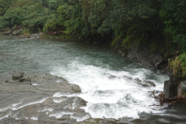 雨続きで、勢いも良いかも。