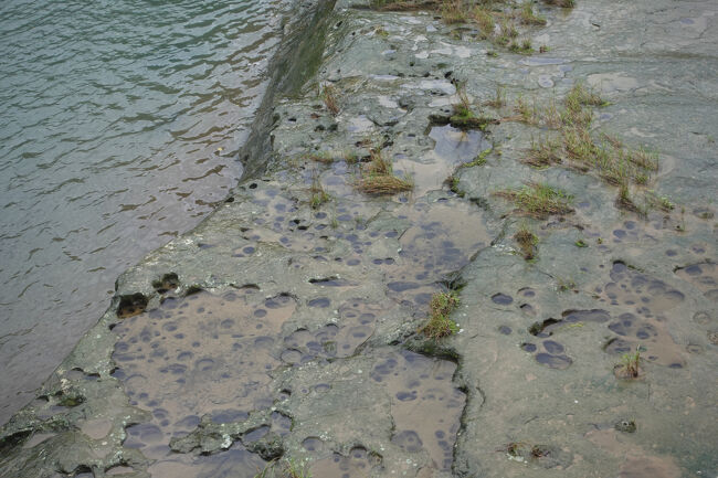 甌穴もボツボツと。