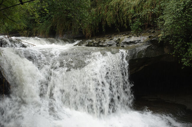が、皆様目もくれず先へ。って事は、ここ目的地ちゃうのね。