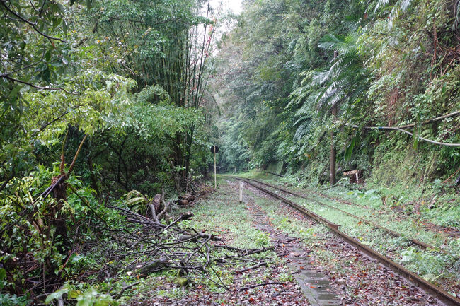 ここ通る火車ってのもえぇ絵面になりそう。