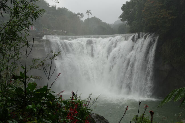 少し降ったところ、えぇ感じですね。