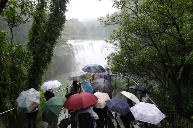 なお、大混雑につき…ゆっくりは見てられんかな。
