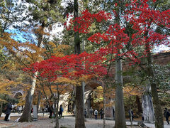 　ここには少しだけ真っ赤に元気な紅葉が待っていました。