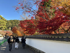 　おっ、綺麗に赤いぞ～。まだ見られるかな。