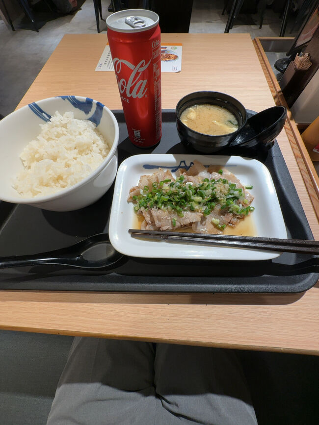 しかし<br />リサーチ不足と、どの店も混んでいて、美味しそうなものを食べれず。<br />結局、松屋へ。笑。