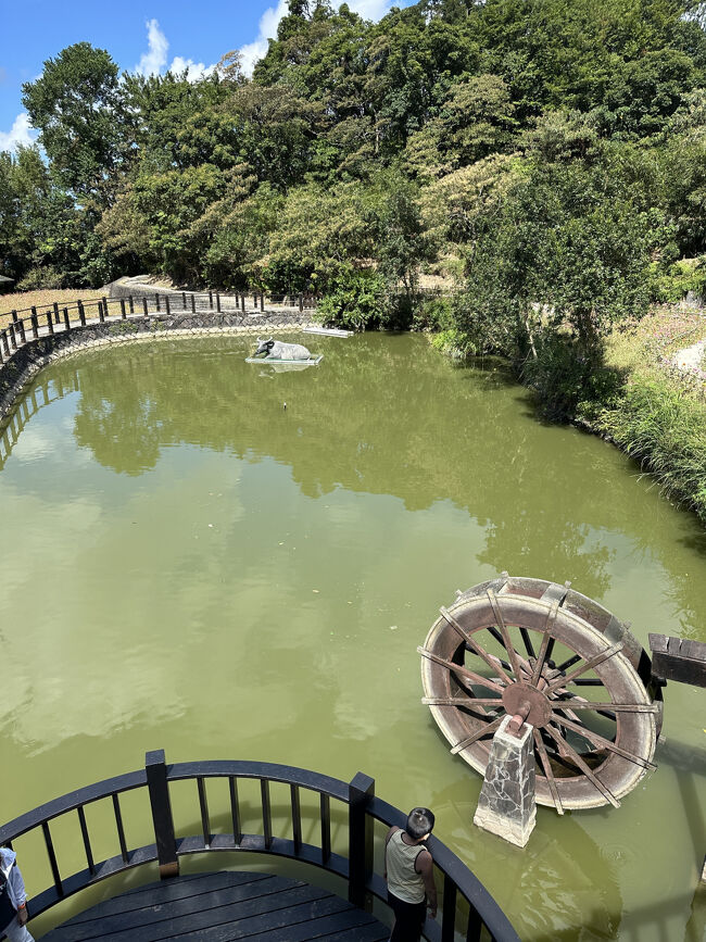 池に水牛のオブジェが浮かんていました。<br />なんだかよく解らないので、戻ります。