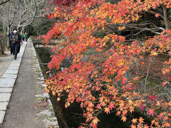 　色も褪せてきて観光客も疎らでした。