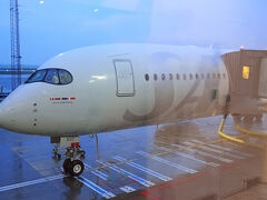 無時にコペンハーゲン空港へ到着しましたがコペンハーゲンは雨でした。
難なくイミグレも抜け荷物もピックアップしてスムースに外に出る事が出来ました。