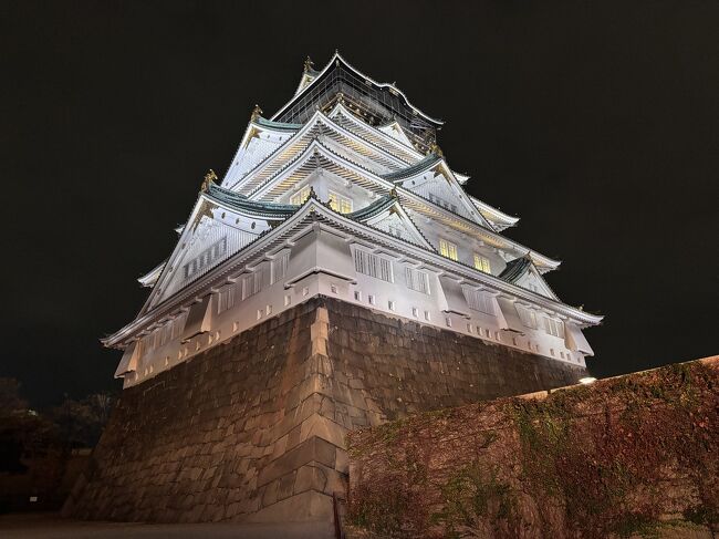 前日の夜、大阪城のまわりを散歩しました。ライトアップされた天守閣は、純白に輝いてとても美しかったです。