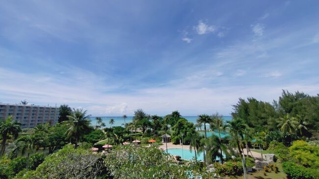 やっぱり明け方は雨が降っていたけどだんだん雲も晴れてこの通り。