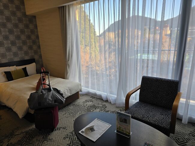 箱根の山が見える。