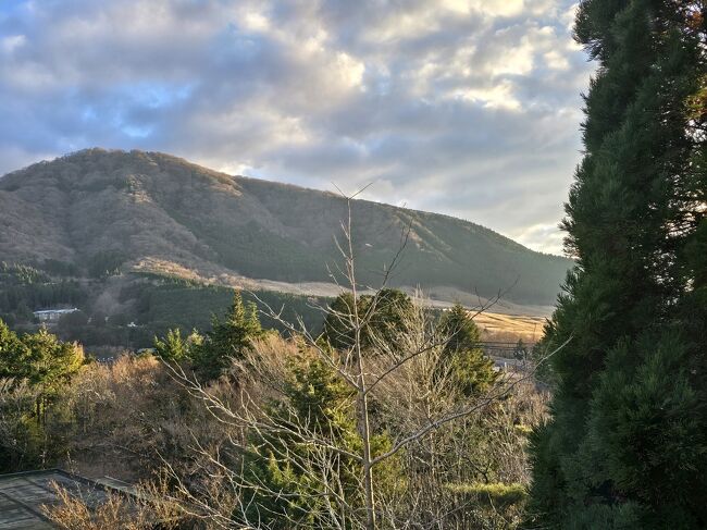 ベランダから仙石原のススキが見えた。