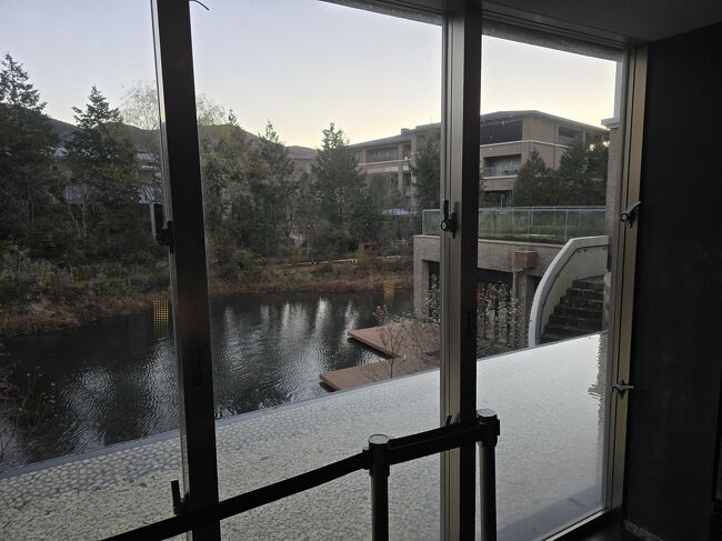 ライブラリーから中庭を見る。右奥はヴィアラ箱根翡翠