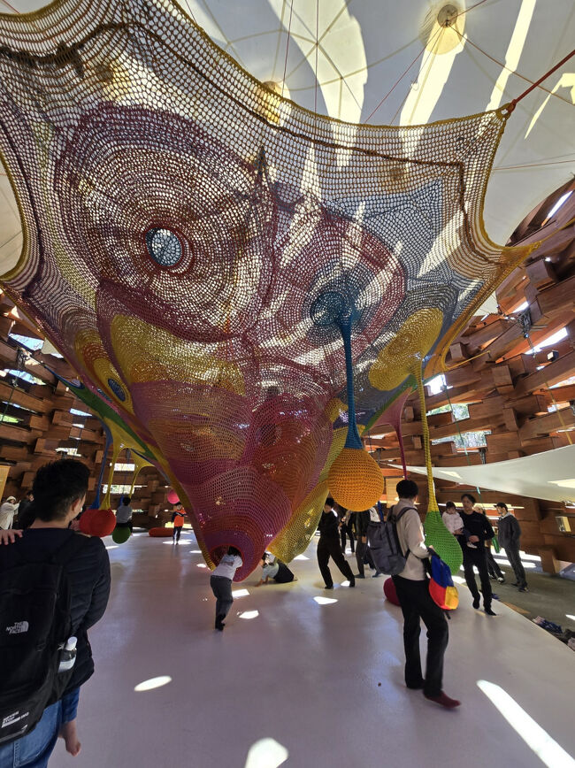 ネットに入って、上に登っていく