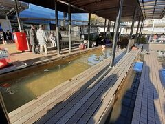 家康の湯(駅前の足湯)