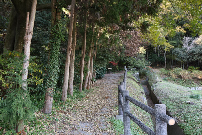 2代目以降の領主のお墓は、先ほどの墓所にまとまっていますが、初代領主だけ、少し離れた森の中に葬られています。