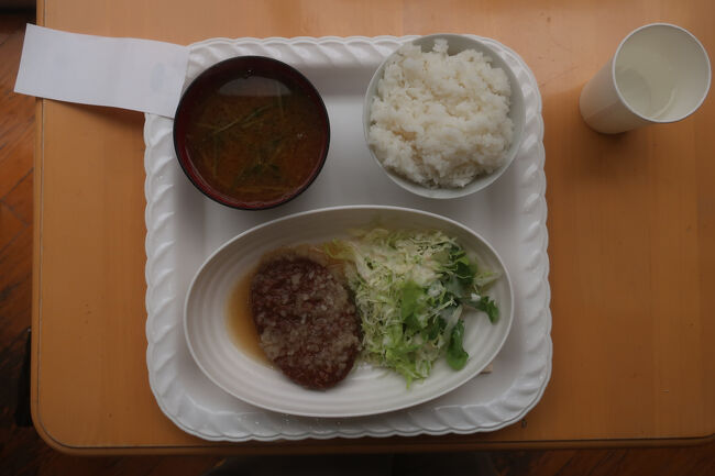 姉崎大根のおろし和風ハンバーグ(800円)をチョイスしました