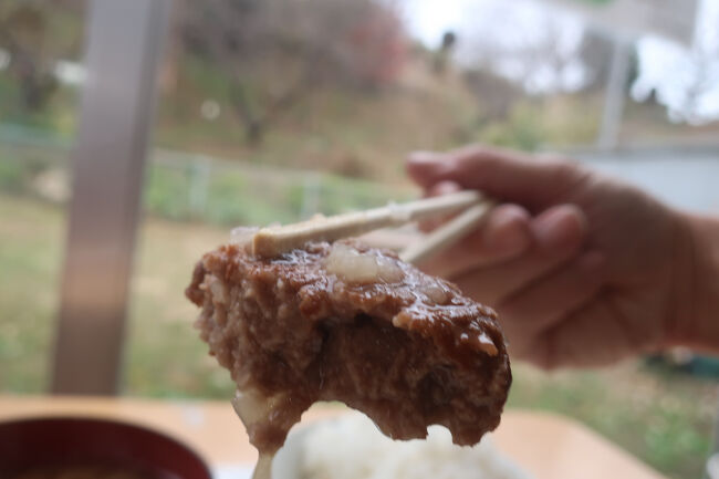 「姉崎だいこん」とは市内姉崎深城地区で姉崎蔬菜組合に加盟している14軒の農家が生産･選別したご当地ブランド野菜で､みずみずしい食感と芯まで白いといわれる白さが特徴<br />寒さで凍らないようにゆっくり生育する大根は甘みと水分を蓄えていき､柔らかく甘みのある大根に育って10～5月に収穫されるため､こちらのメニューは収穫時期限定のメニューになっているようです