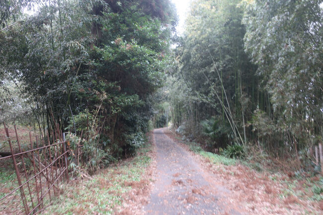 道の駅から橋まではこんな感じの未舗装の道