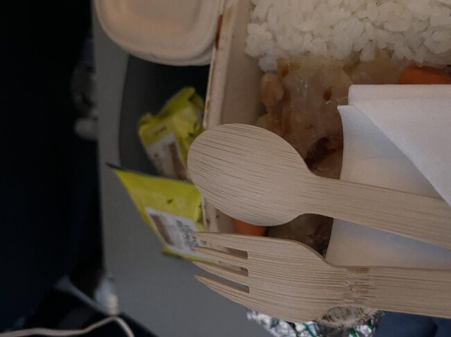 スプーンやフォークはプラスチックではなく木製です。