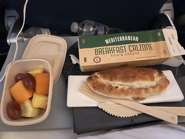 出来立てではないのに、おいしいカルツオーネとカットフルーツで気分が少々回復します。