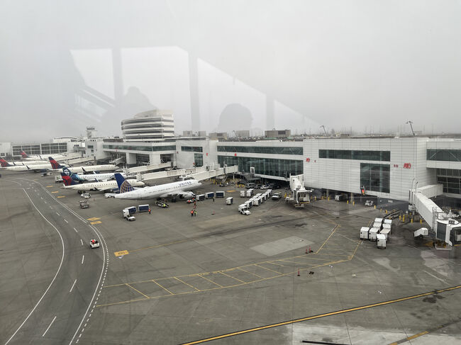 雨の多いシアトルですが、この日もどんよりしています。