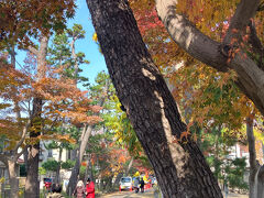 駅前からすぐに参道が始まる。寺の総門までは駅から5分。
境内は予想以上に広かった。