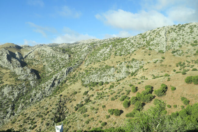 この時は「絶景見たい」が勝ちました。とっても心癒される風景でした！！